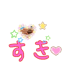 可愛い蜥蜴スタンプ♬︎♡（個別スタンプ：15）
