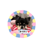 チビエリスタンプ（個別スタンプ：22）