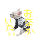 ヴェモさん★（個別スタンプ：8）