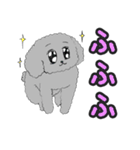 うちのトイプーのコロ（個別スタンプ：4）
