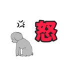 うちのトイプーのコロ（個別スタンプ：5）