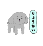 うちのトイプーのコロ（個別スタンプ：8）