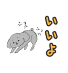 うちのトイプーのコロ（個別スタンプ：9）