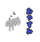 うちのトイプーのコロ（個別スタンプ：11）