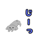 うちのトイプーのコロ（個別スタンプ：16）