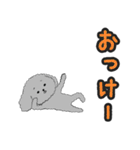 うちのトイプーのコロ（個別スタンプ：17）