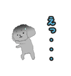 うちのトイプーのコロ（個別スタンプ：21）