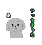 うちのトイプーのコロ（個別スタンプ：23）