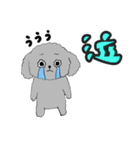 うちのトイプーのコロ（個別スタンプ：24）