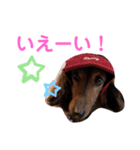幸之助さん4（個別スタンプ：7）