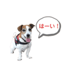 らむぱん 3（個別スタンプ：1）