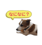 らむぱん 3（個別スタンプ：6）