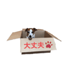 らむぱん 3（個別スタンプ：10）