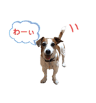 らむぱん 3（個別スタンプ：16）