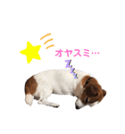 らむぱん 3（個別スタンプ：18）
