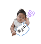 こうたん日常（個別スタンプ：3）