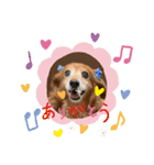 おいら。ココナツ！！（個別スタンプ：6）
