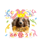 おいら。ココナツ！！（個別スタンプ：8）