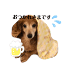 おいら。ココナツ！！（個別スタンプ：9）