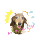 おいら。ココナツ！！（個別スタンプ：13）