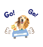 おいら。ココナツ！！（個別スタンプ：16）