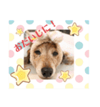 おいら。ココナツ！！（個別スタンプ：20）