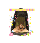 おいら。ココナツ！！（個別スタンプ：26）