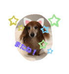 おいら。ココナツ！！（個別スタンプ：35）