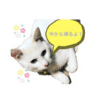 むうたくん、（個別スタンプ：2）