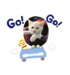 むうたくん、（個別スタンプ：5）