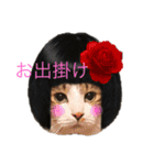 ボーダーコリーのヨークと3匹の猫たち（個別スタンプ：3）