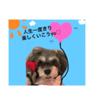 今日の❤️ワンコ8〜励まし（個別スタンプ：7）
