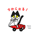 黒猫(ネロ7)（個別スタンプ：36）