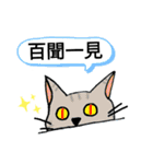 四字熟語ネコ（個別スタンプ：19）