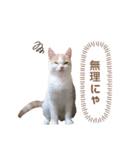 ツンデレこむぎちゃん（個別スタンプ：7）