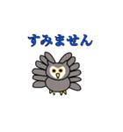 ハルのハロウィンスタンプ（個別スタンプ：20）