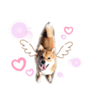 りくまろ❤️（個別スタンプ：13）