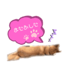 りくまろ❤️（個別スタンプ：16）