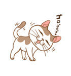 ねこねこぐらし（個別スタンプ：7）