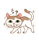 ねこねこぐらし（個別スタンプ：9）