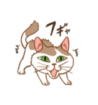 ねこねこぐらし（個別スタンプ：10）