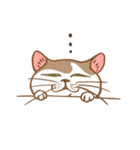 ねこねこぐらし（個別スタンプ：12）