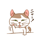 ねこねこぐらし（個別スタンプ：16）