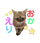 マロコロチョロpart4（個別スタンプ：11）