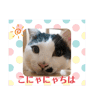 マロコロチョロpart4（個別スタンプ：14）