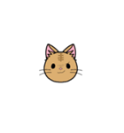 猫百面相（個別スタンプ：15）