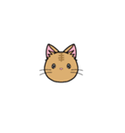 猫百面相（個別スタンプ：16）