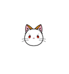 猫百面相（個別スタンプ：21）