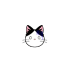 猫百面相（個別スタンプ：31）