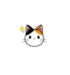 猫百面相（個別スタンプ：34）